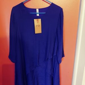 Tunic style shirt (NWT) by Aria